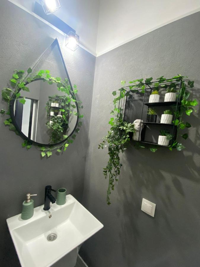 Green Vibes Central Brašov Exteriér fotografie